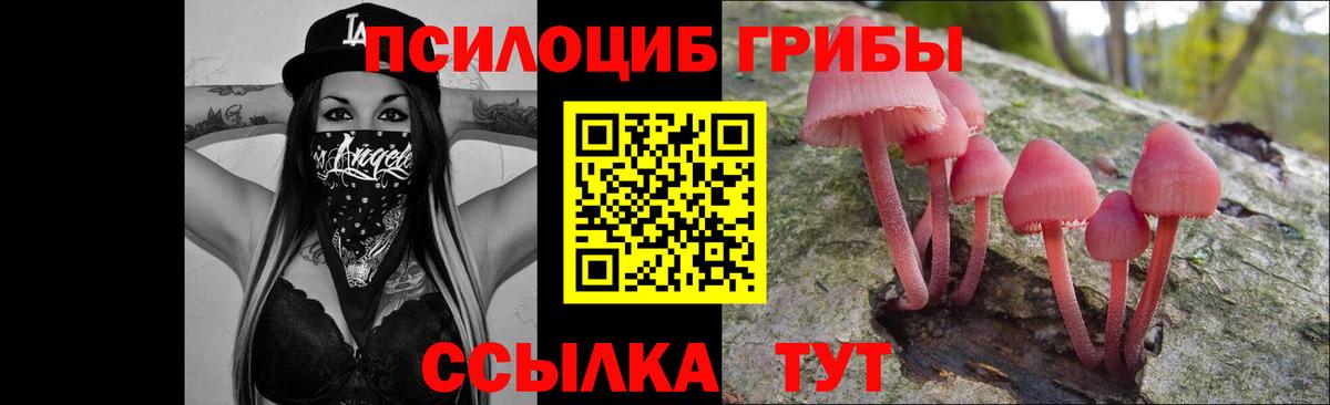 Галлюциногенные грибы прущие грибы  Галлюциногенные грибы Psilocybine cubensis  Гусев  Вход с VPN 